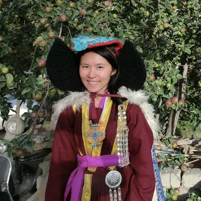 茶。歐瑪。拉達克-北印的一千零一頁的沙龍