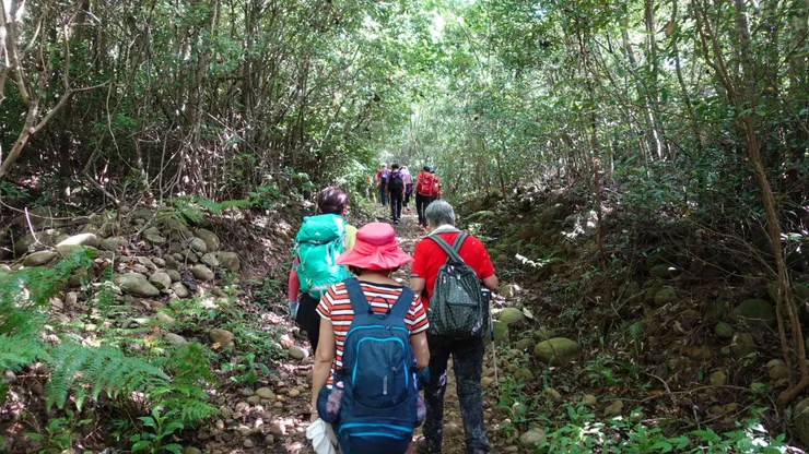 往三粒石土地公~還是上坡