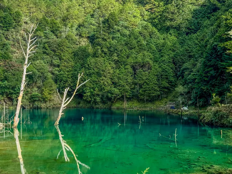碧綠色的池水,清澈而透明