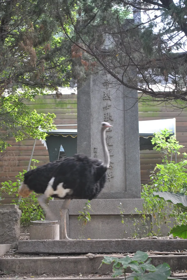 過去曾位在新竹市動物園的「張玉寬」紀念碑