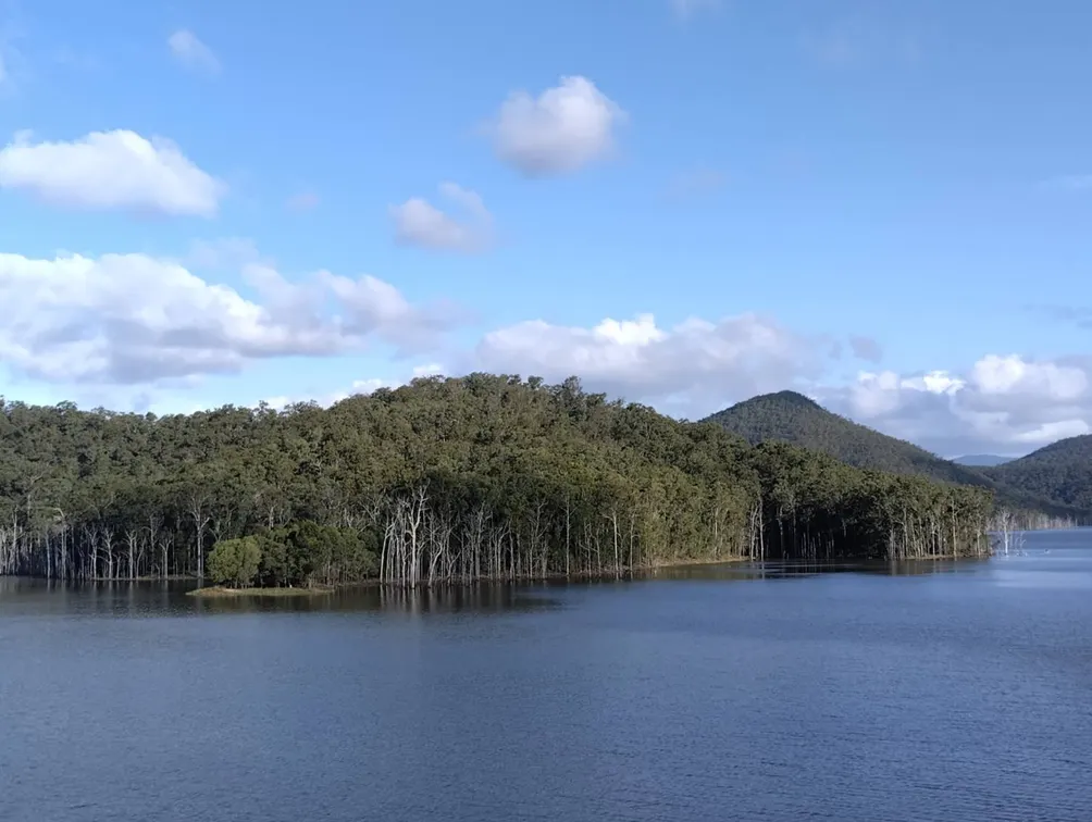 南國客的筆想世界