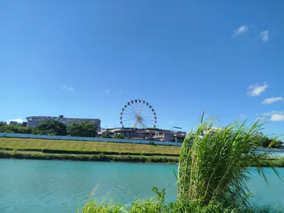 在37度豔陽下，體驗台北的天空。