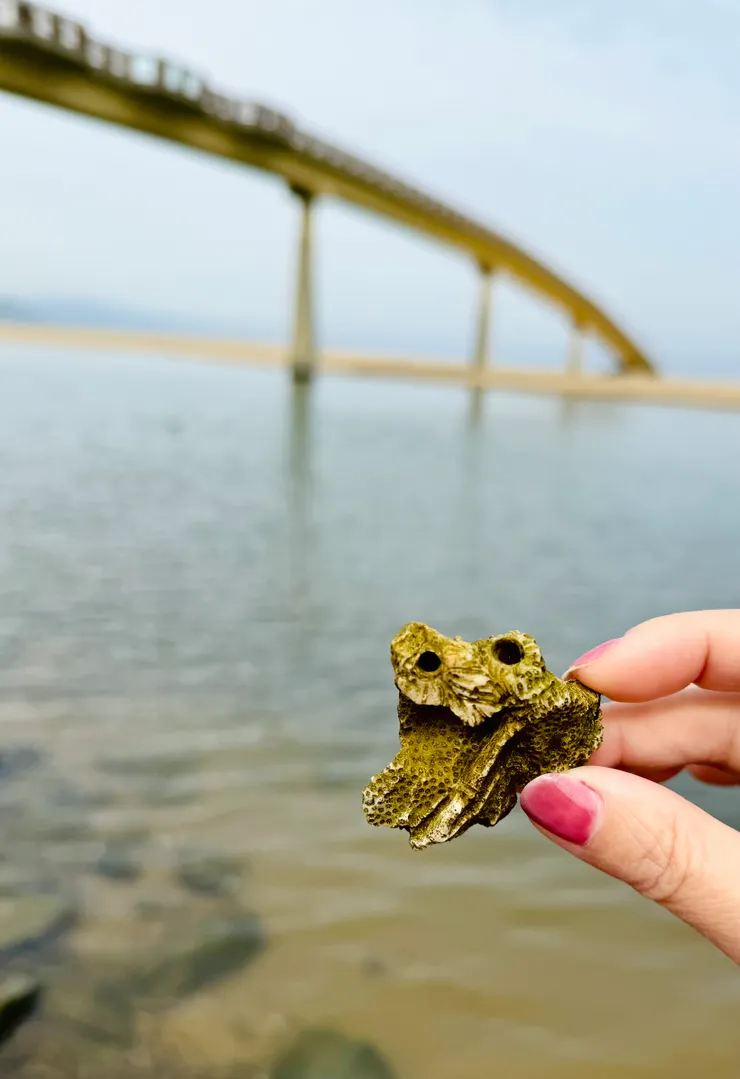 我找到了「貓頭鷹」