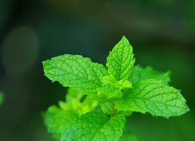 Kathy@vocus 的沙龍