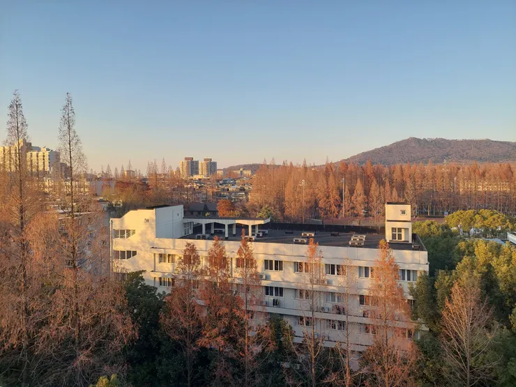 南京博物院藝特展館觀景台的樹景