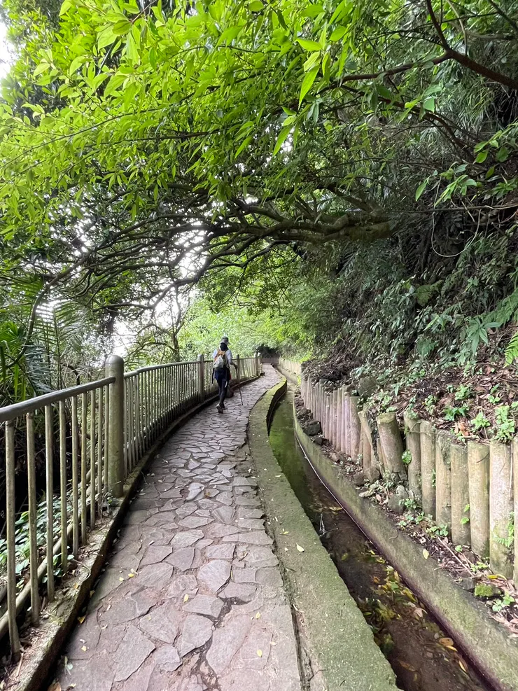 沿著水圳、聽著潺潺水聲前行。