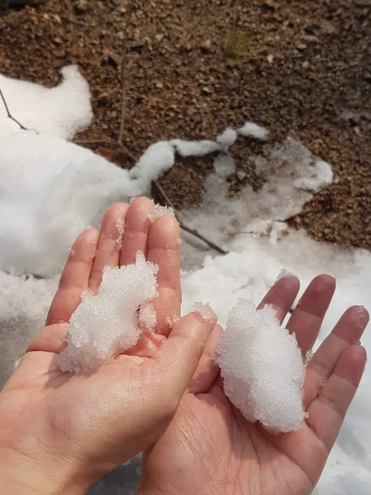 拍攝於2018年3月24日，韓國 慶州