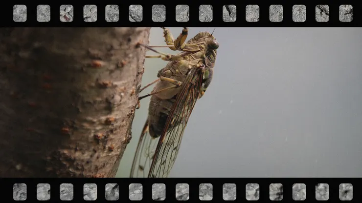 世上有很多生命形式，是我們從未想過的堅忍與執著。