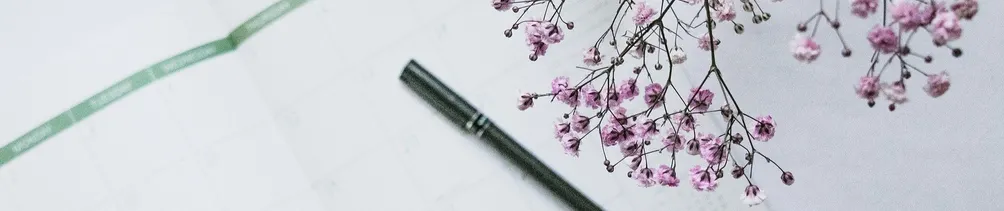 創造、思想與雙眼