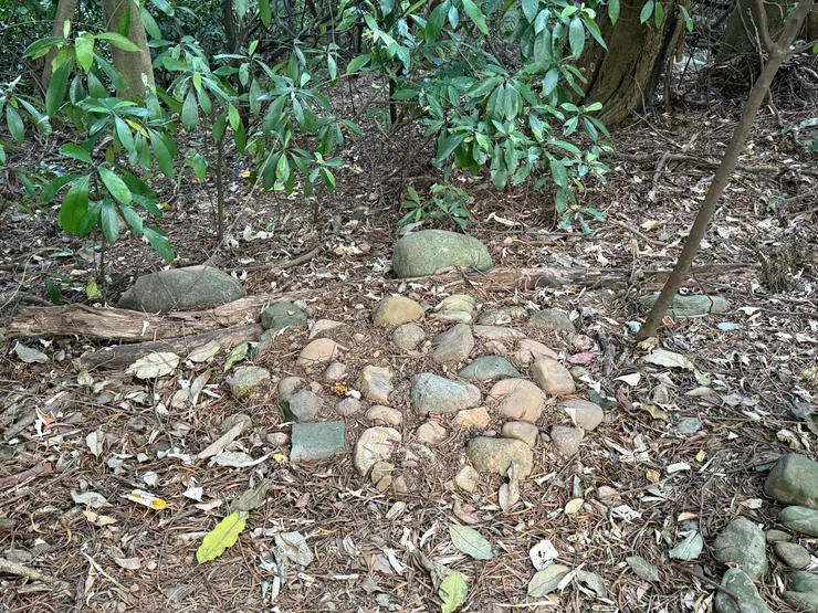 2025/09/07 圓圓長眠處遠看