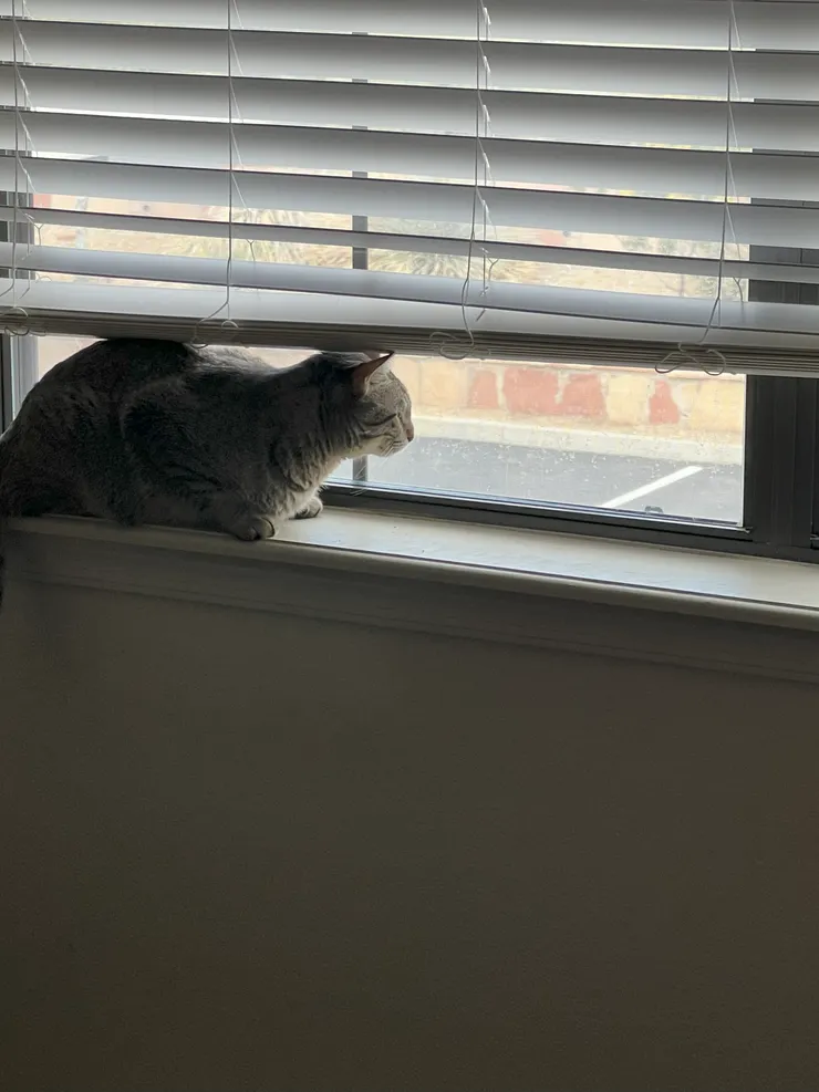 爹爹何時回來陪我玩啊??