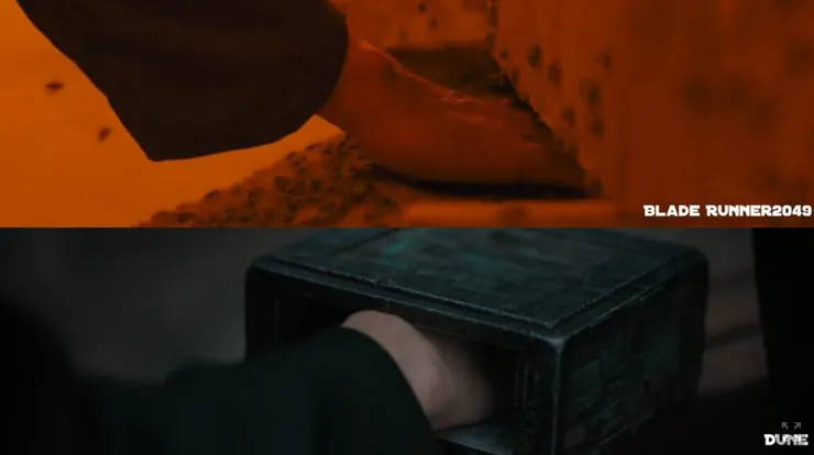 痛覺：人類、動物……合成人的區別。