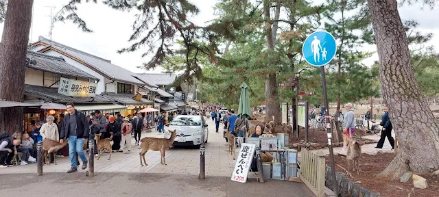 我在這裡買了伴手禮