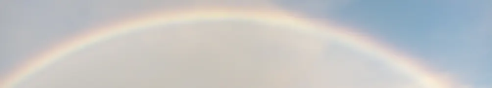 沒錄用石頁士的沙龍