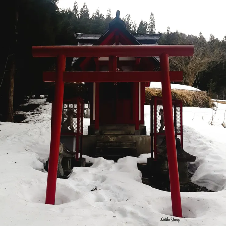 我人生第一個神社