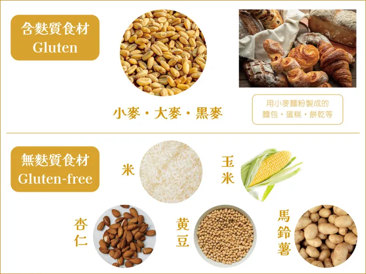 含麩質食材vs無麩質食材