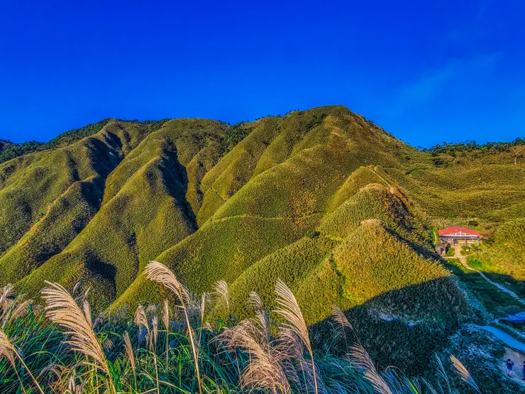 聖母山莊與全世界都來過的抺茶山