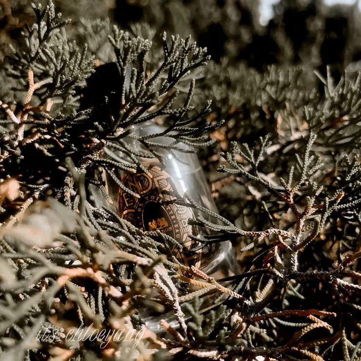 此照片為本人拍攝