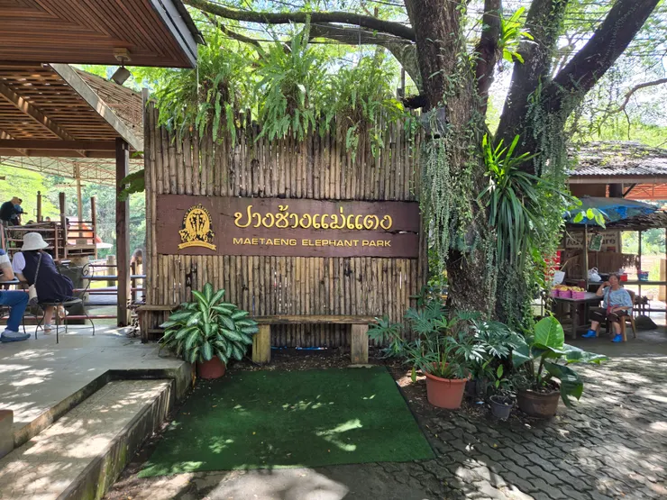 『湄登大象營』