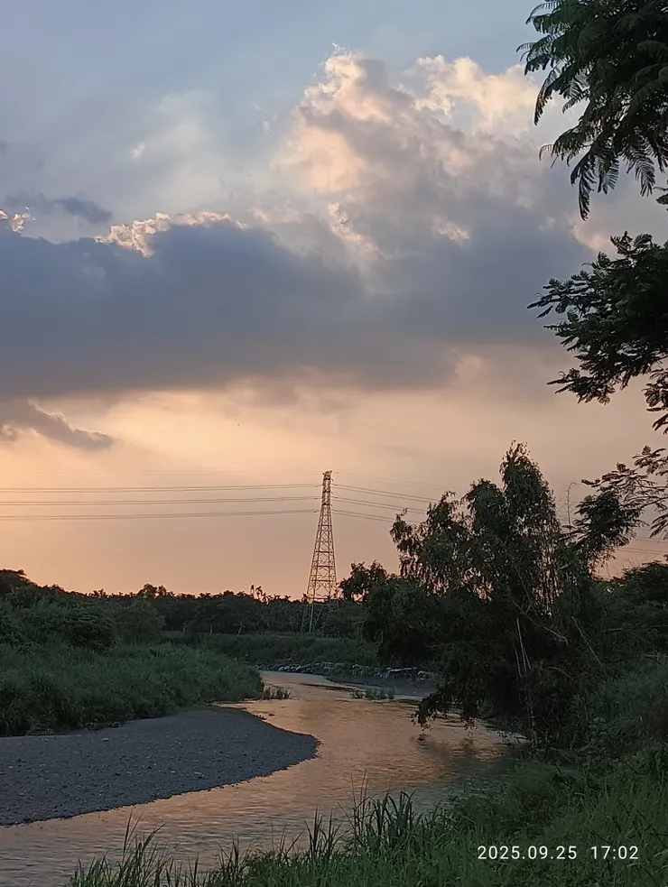 斜日汀洲離腸斷