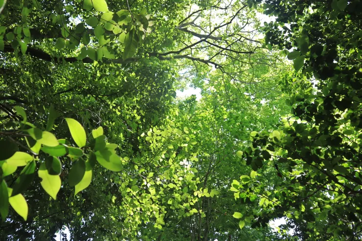 別忘了抬頭看看小清新