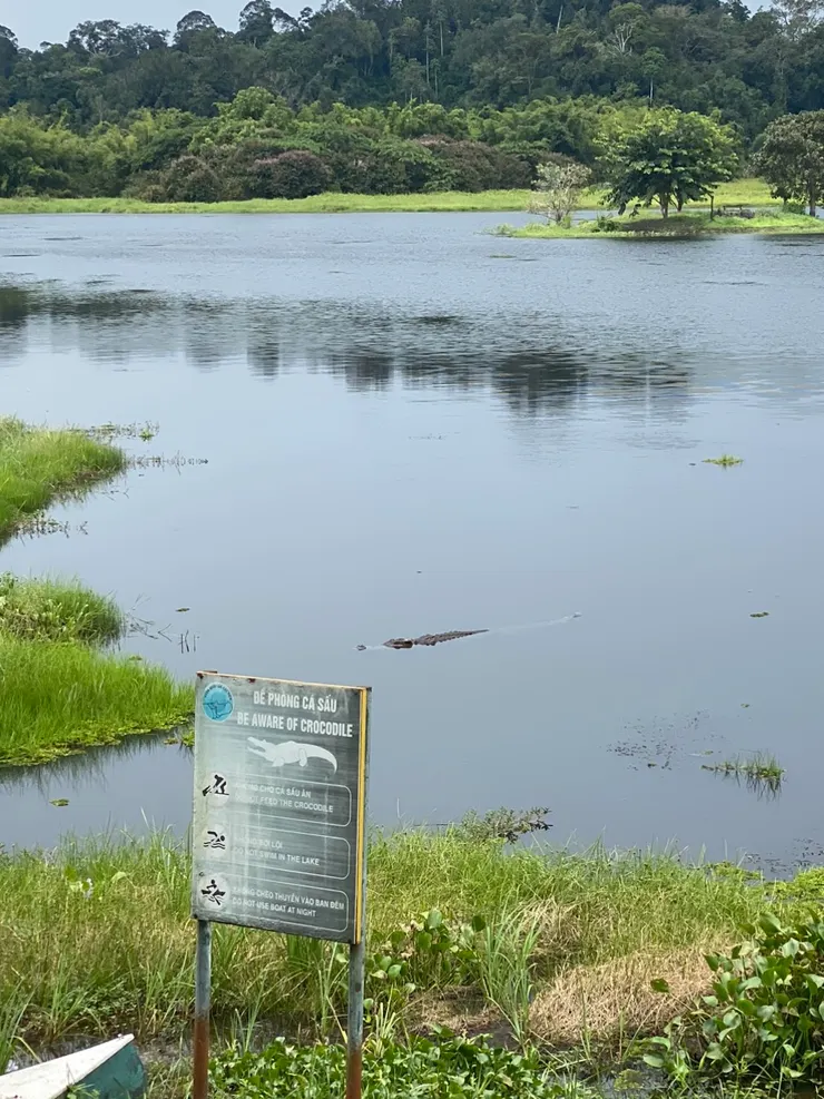 30歲的老鱷魚，孩子居然接一句話: 媽媽你比較老。害我岔氣。
