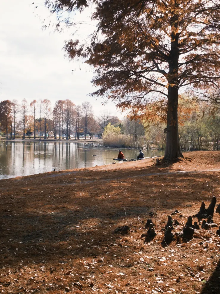 舍人公園釣魚的人們