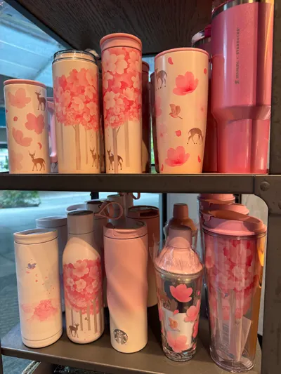 新加坡的星巴克櫻花杯分享