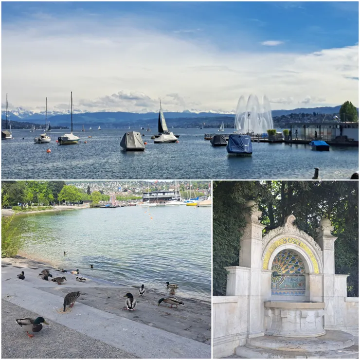 美的像一幅畫的蘇黎世湖, 可以跟鳥類互動..一點都不怕人