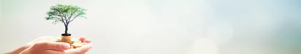 Follow my Wei 的投資智慧：探索財務自由之路的沙龍