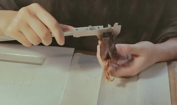 圖片來源:職名事