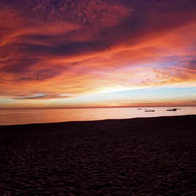 混沌起思ChaosCheese的沙龍