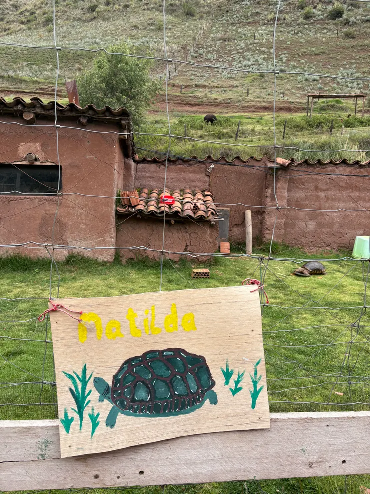 動物們都有可愛的名字