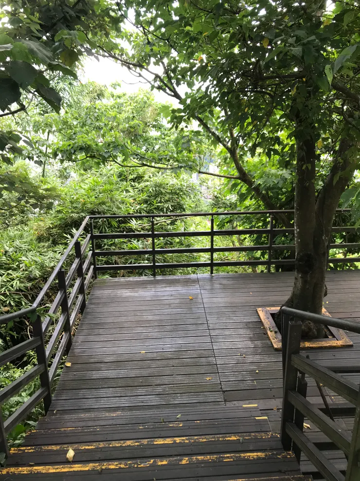 2025-6-15於景美仙跡岩教授禪修課