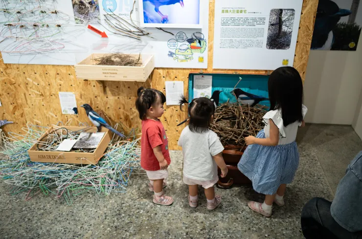 咩咩和姊姊正在觀察的是經典的喜鵲鳥巢，左邊那個則是誇張的鋼鐵鳥巢，到底是哪隻喜鵲開始發現衣架可以這樣用的，太誇張啦...