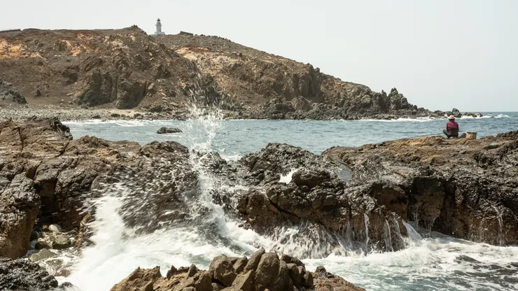 （圖／《花之島》電影劇照；台灣國際紀錄片影展提供）