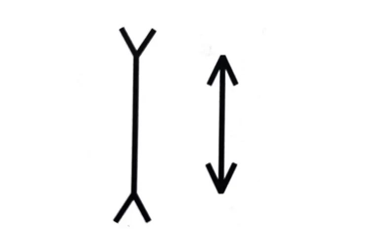 截自《妄想的力量》