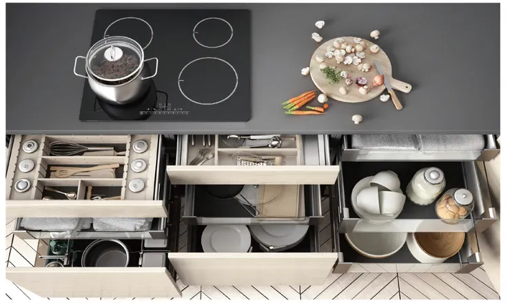 蟋蟀人收納：詳盡的分類