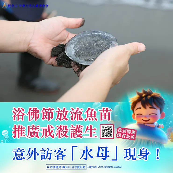 觀音山保育放流