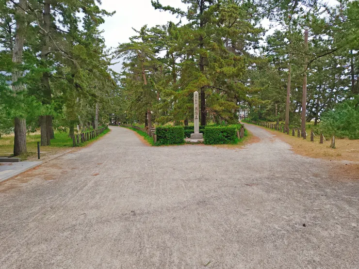 天橋立公園 松並木終點