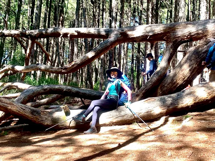 必拍的「南湖之門」