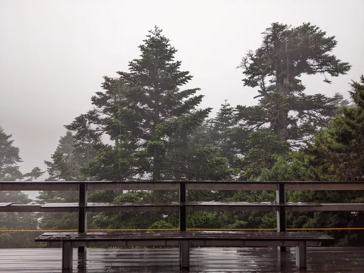 在山莊欣賞雨中的玉山