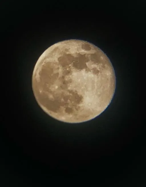 蔡維宸 提供 2024-10-18 -2