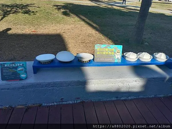 大盤帽和水兵帽