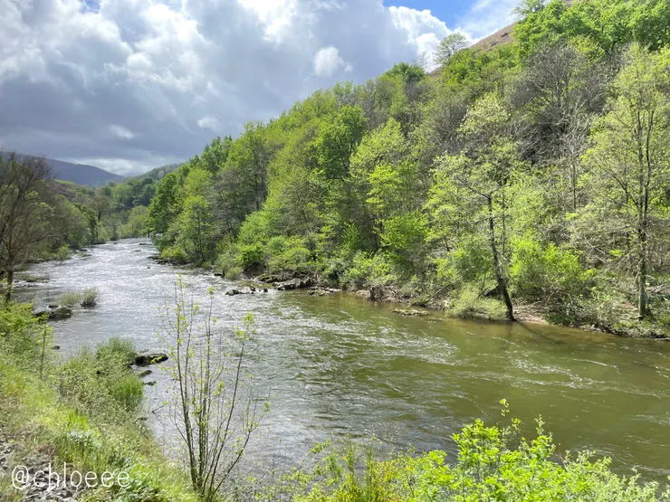 火車的風景真的超美的