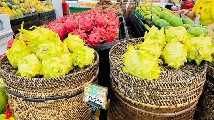 綠色火龍果很少見