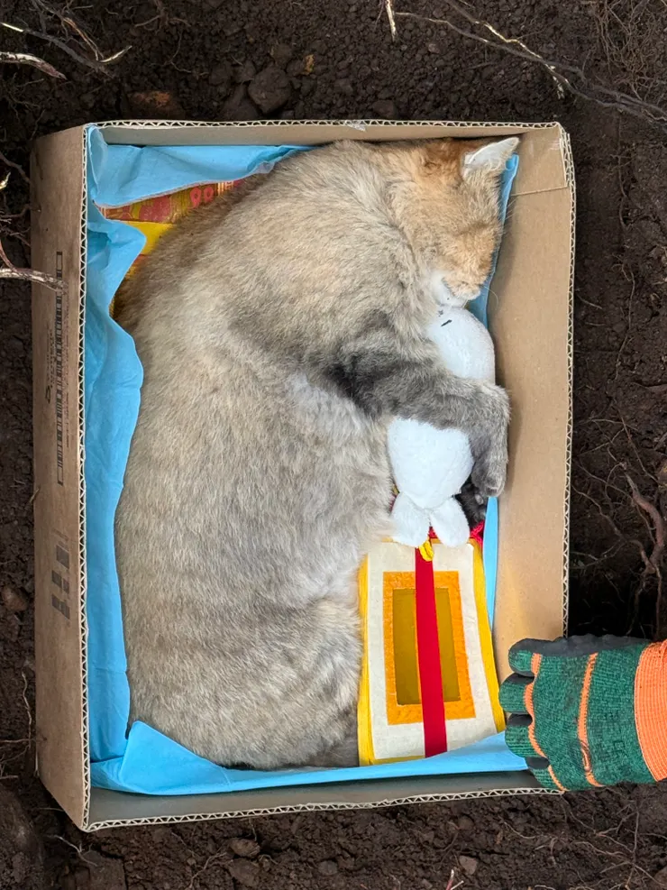 拍攝於 2025/6/8 下葬前