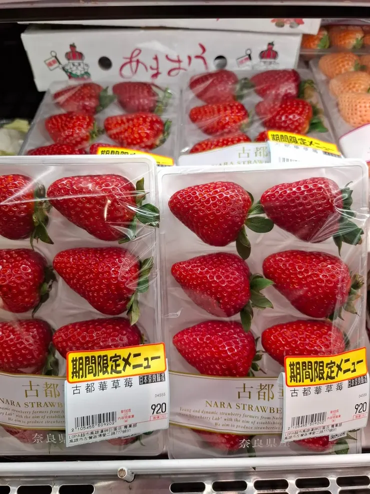 這價格，如果我買回家，會被打死。看就好。