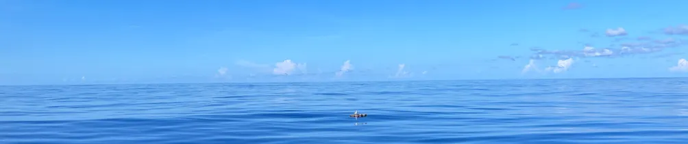 Faye_Flowing 的沙龍