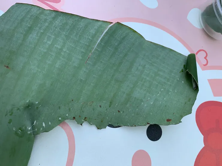 哦！燙捲捲師快顯身囉？